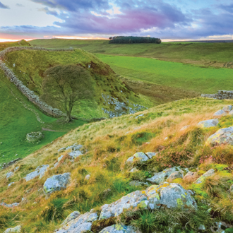 Cottages In Northumberland