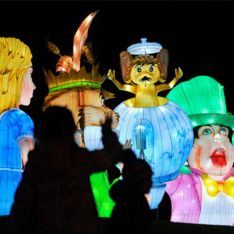 Alice in Winterland lights