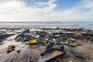 LOVEmyBEACH - Help protect the coast from pollution incidents Keep Britain Tidy project LOVEmyBEACH is calling on all regular beach users to help identify and report signs of coastal pollution to help protect the North West coastline.