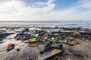 Keep Britain Tidy project LOVEmyBEACH is calling on all regular beach users to help identify and report signs of coastal pollution to help protect the North West coastline. 