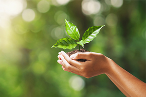 Hotel to generate its own power with green energy project green energy project