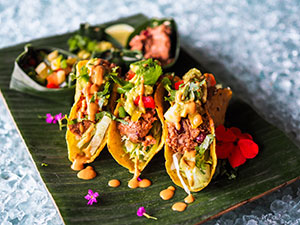 Festivals to Get You Inspired this Autumn from Vegan Events UK Festivals to Get You Inspired this Autumn from Vegan Events UK