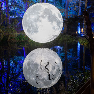 Full moon at The Enchanted Forest