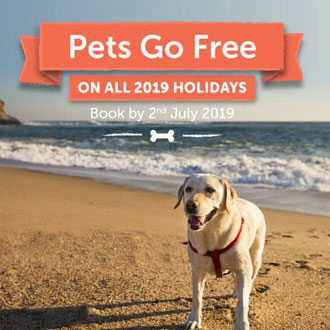 Pets go free! Dog on a beach