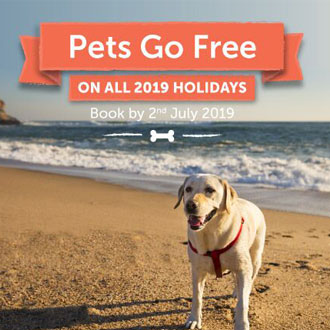 Pets go free! Dog on a beach Pets go free! Dog on a beach