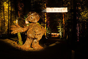 The Enchanted Forest 2018 The Enchanted Forest 2018