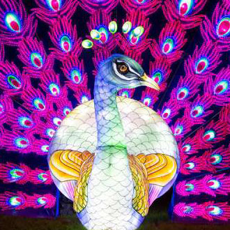Lightopia London Peacock