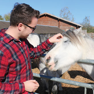 Man petting horse at the Redwings Horse Sanctuary