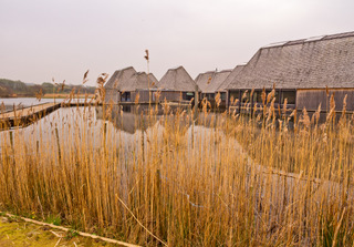 Farm Diversity Live venue Brockholes Nature Reserve 