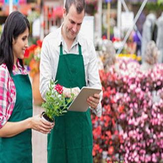 Workers at garden centre using roundup