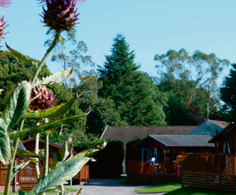 Eden Valley Holiday Park