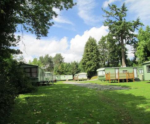The Pines Caravan Park