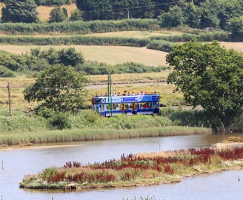 Seaton Tramway