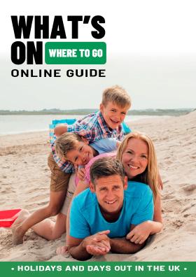 Online Guide